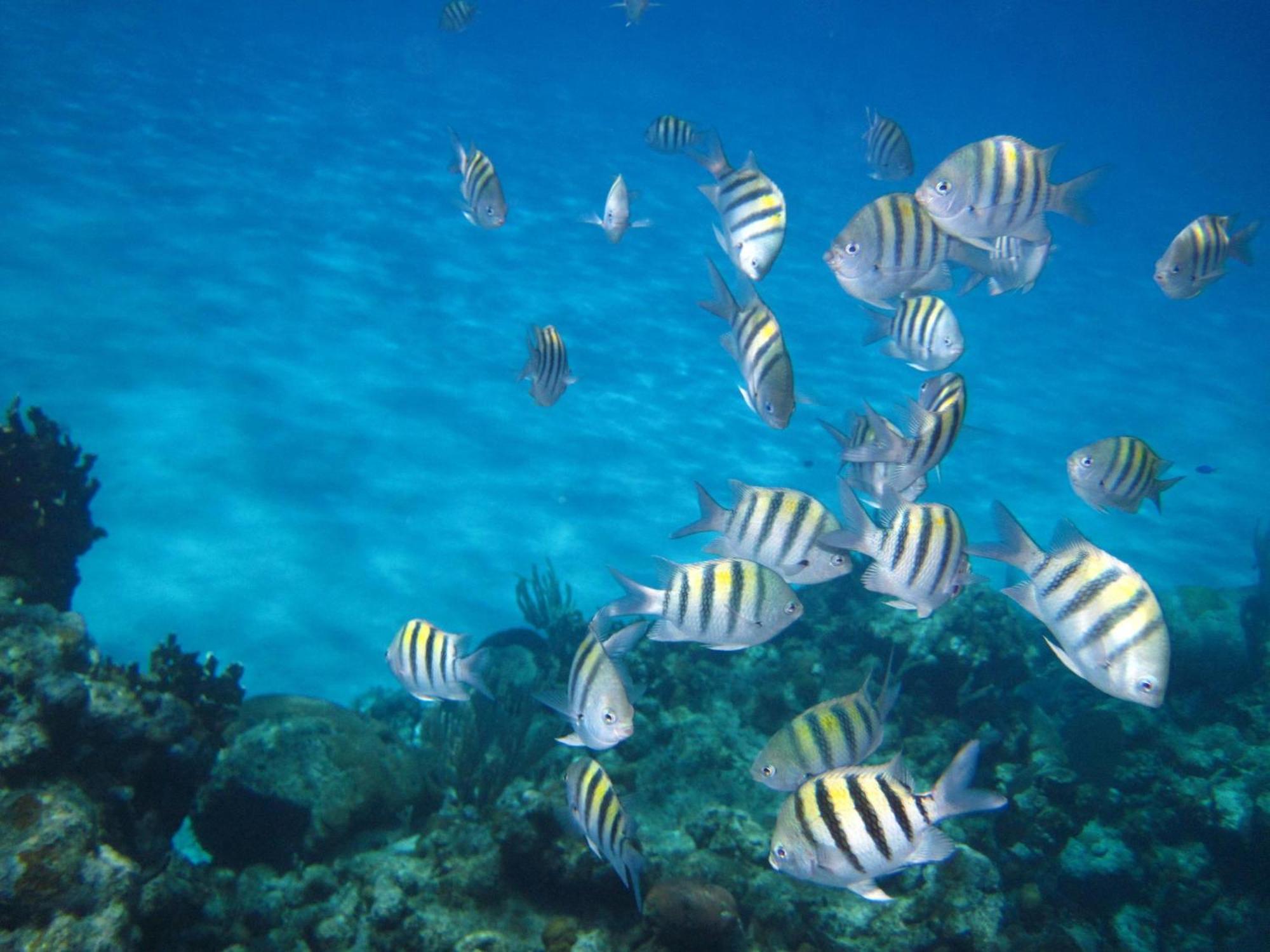 无垠海湾温泉海滩度假村 西湾 外观 照片